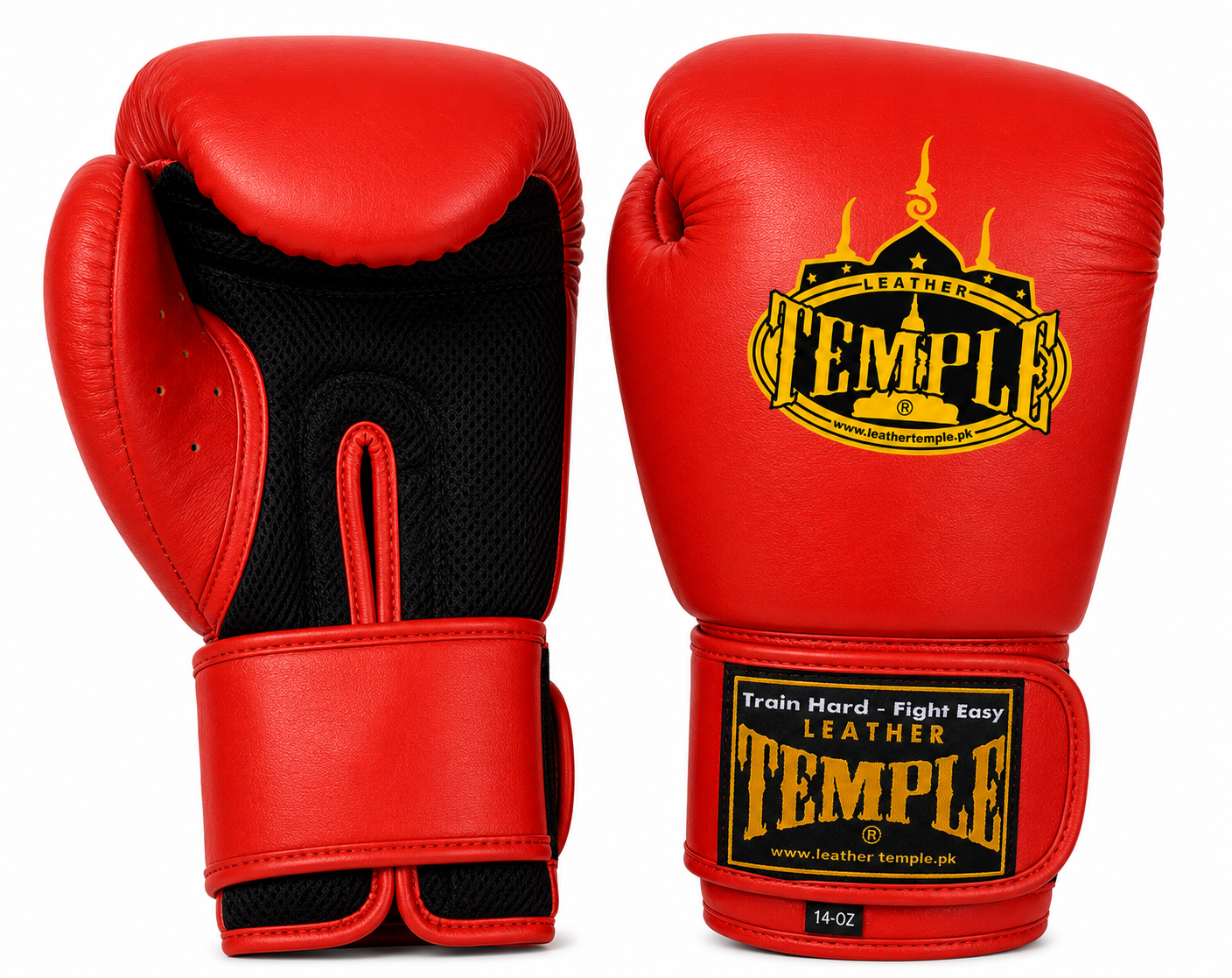 Boxing Gloves BG101